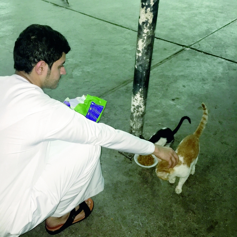 الصورة : ايادي الخير تطعم القطط في سوق السمك