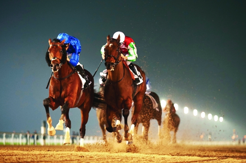 الصورة : «ثندر سنو» ينتزع لقب الجولة 2 لكأس آل مكتوم  |  تصوير: نادي دبي لسباق الخيل