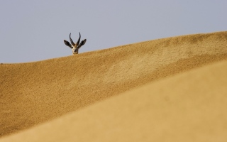 الصورة: الصورة: سلمى السويدي: صوري تنبض بجمال الطبيعة في الإمارات