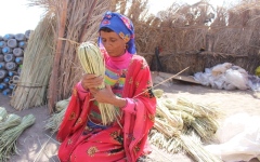 الصورة: الصورة: صناعة الحصير حرفة وتراث صامد رغم الحرب في اليمن