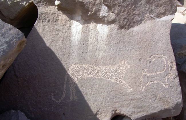 بالصور العثور على أقدم النقوش في التاريخ بصحراء أسوان فكر وفن شرق وغرب البيان
