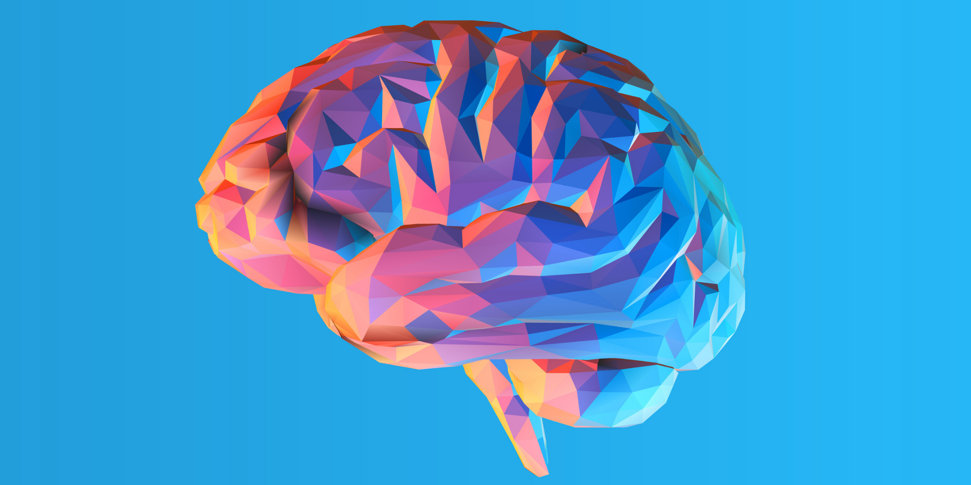 مهام الجزء الايمن من الدماغ يعمل بشكل اكبر عند اجراء اختبارات الذكاء