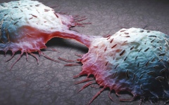 الصورة: الصورة: سرطان الثدي.. الاكتشاف المبكر يعزز فرص القضاء على المرض