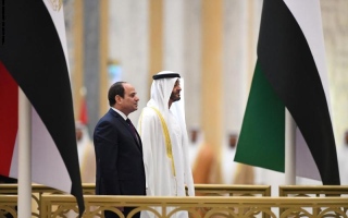 الإمارات ومصر تقيّمان مشروعات المنصة المشتركة