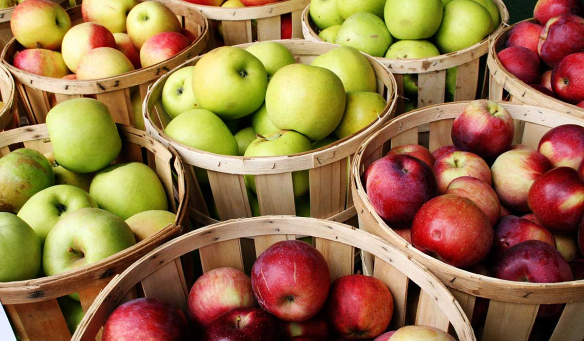 ماذا تعرف عن فوائد دقيق التفاح؟ - البيان الصحي - حياة - البيان
