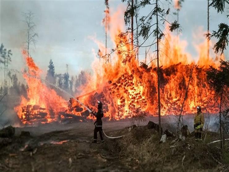 اتساع نطاق حرائق الغابات في سيدني والنيران تهدد المنازل البيان