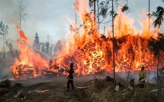 اتساع نطاق حرائق الغابات في سيدني والنيران تهدد المنازل