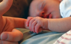 الصورة: الصورة: الولادات المبكرة.. الرعاية الطبية أثناء الحمل تحد من حدوثها