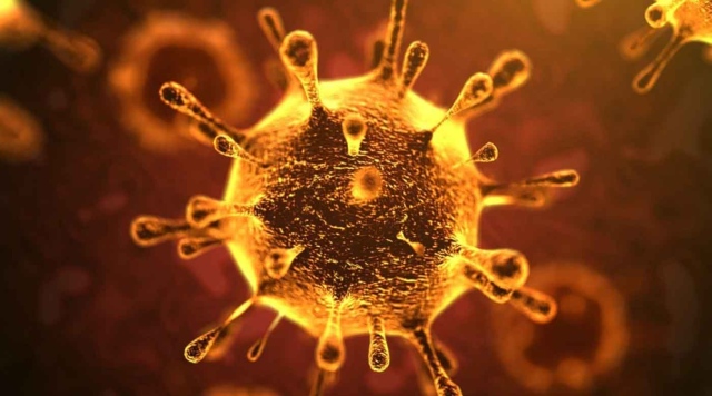 الصحة العالمية :  فيروس كورونا الجديد لا لقاح ولا علاج له 