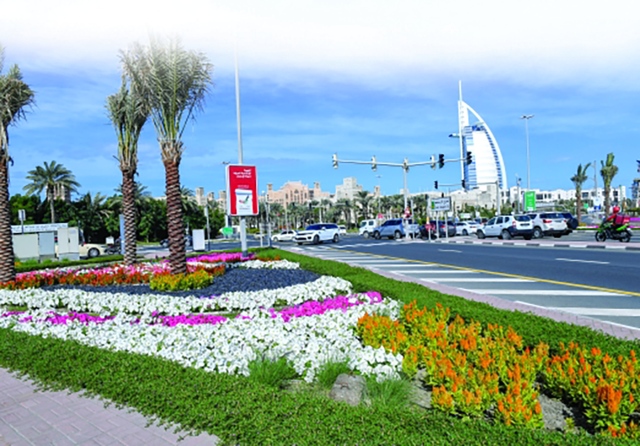 3828 هكتاراً المساحات الخضراء في دبي - البيان