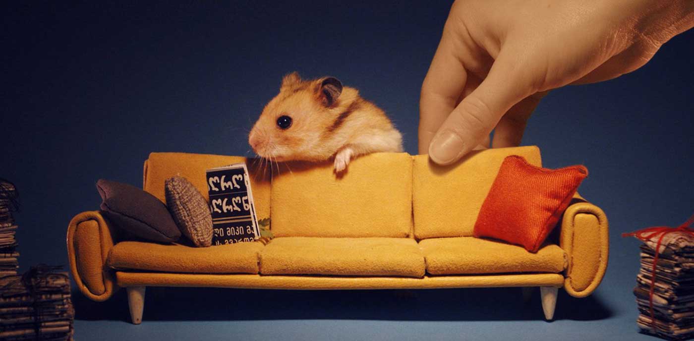 أمريكي يستخدم عصابة من الفئران للحصول على غرف فندقية مجانية 
