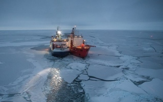 100 عالم محاصر في سفينة بالقطب الشمالي بسبب كورونا