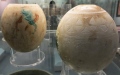 الصورة: الصورة: المتحف البريطاني يبحث في لغز بيوض النعام المزخرفة من العصر البرونزي