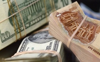 قفزة قياسية في أسعار الدولار أمام الجنيه المصري