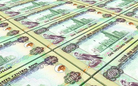 الصورة: الصورة: فئات العملة الإماراتية.. رموز ودلالات