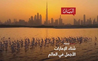 الصورة: الصورة: شتاء الإمارات الأجمل في العالم