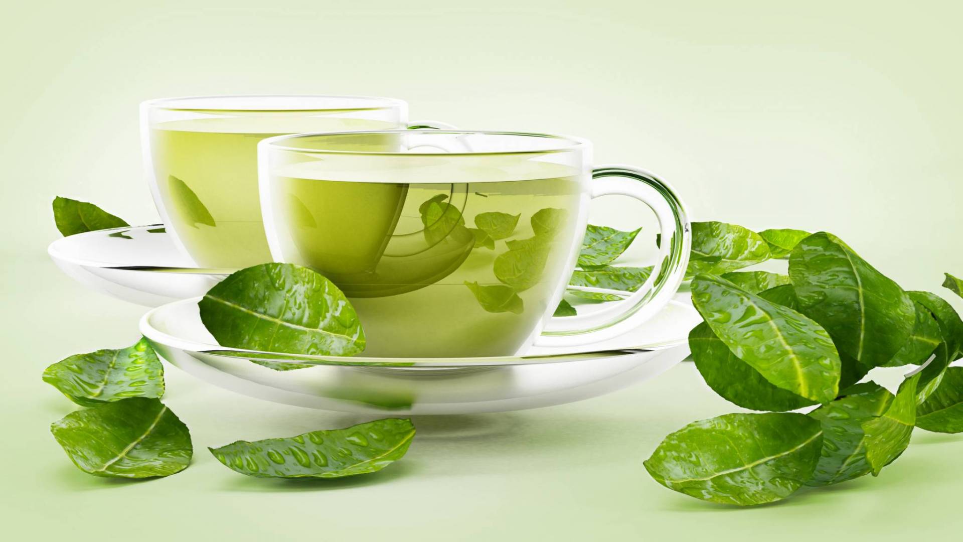 ماذا يحدث للجسم عند تناول الشاي الأخضر بعد الإفطار؟