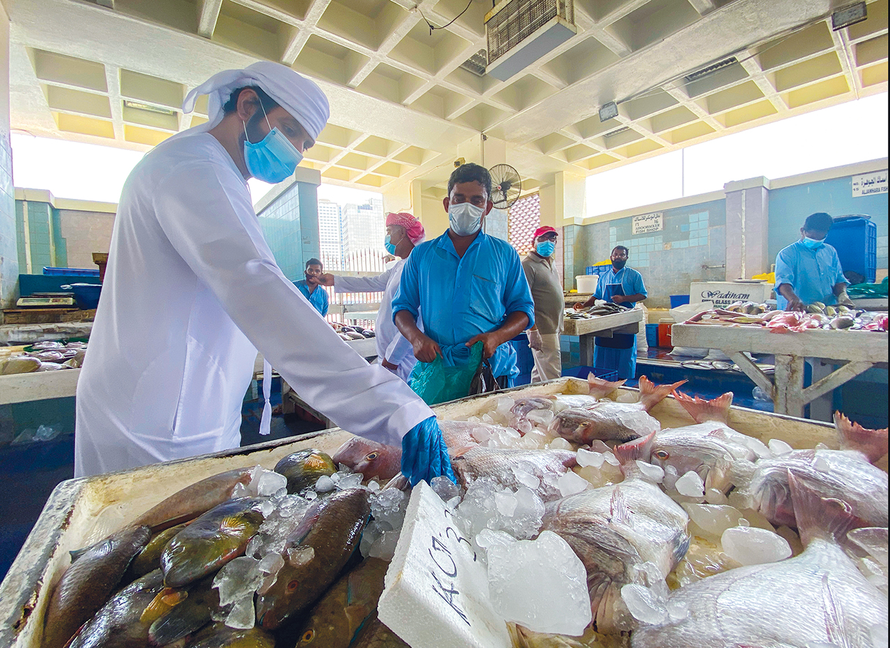 الصورة : عدم دخول الأسماك المستوردة العام الماضي أنعش السوق المحلي | تصوير : زيشان أحمد