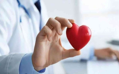 الصورة: الصورة: أفضل نظام غذائي لتحسين صحة القلب