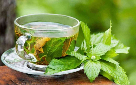 الصورة: الصورة: الشاي الأخضر.. كنز من الفوائد الصحية لإنقاص الوزن