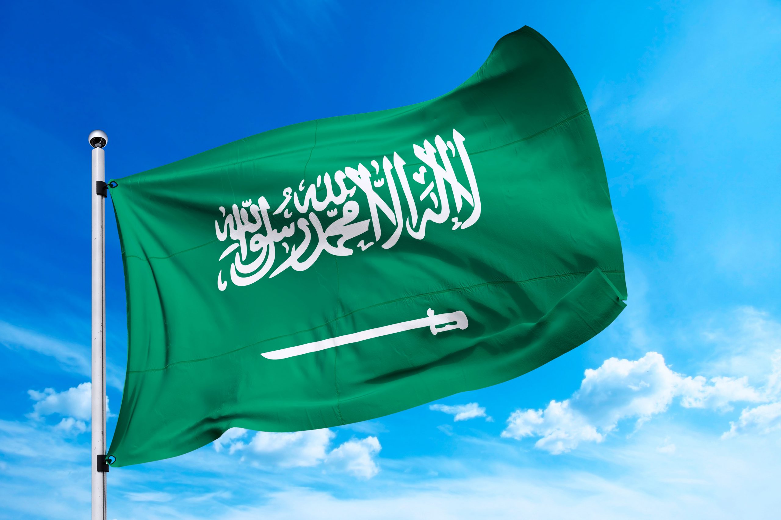 صورة السعودية تمنح الجنسية لعدد من المميزين