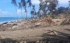 الصورة: الصورة: أضرار جسيمة في تونغا بعد ثوران بركان وتسونامي.. فيديو