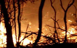 الصورة: الصورة: اندلاع حريق مهول في غابة مديونة بطنجة المغربية.. فيديو