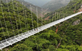 الصورة: الصورة: فيتنام تفتتح جسراً زجاجياً بعلو شاهق فوق إحدى غاباتها