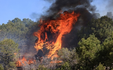 الصورة: الصورة: حريق تاريخي في نيو مكسيكو الأمريكية يدخل مرحلة حرجة