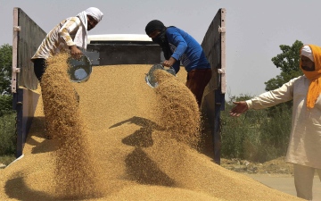 الصورة: الصورة: رغم قرار الحظر.. الهند تسمح بتصدير القمح للدول المحتاجة