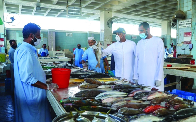 الصورة: الصورة: قلة المعروض ترفع سعر الأسماك 20 % خلال مايو الجاري