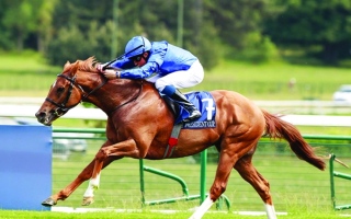 الصورة: الصورة: «هتال» بطل كأس رئيس الدولة للخيول في فرنسا