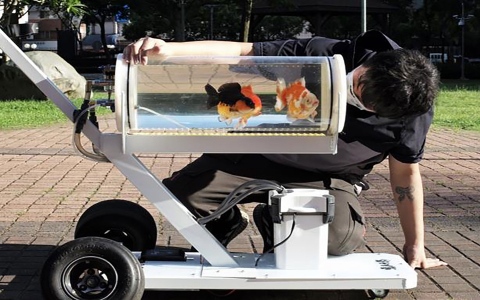 الصورة: الصورة: تايواني يخترع عربة متحركة لتزيه الأسماك.. فيديو
