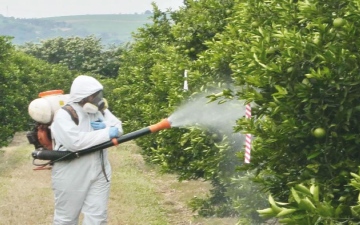 الصورة: الصورة: دراسة: ارتفاع صادم في نسب الفاكهة الملوثة بالمبيدات الحشريّة في أوروبا
