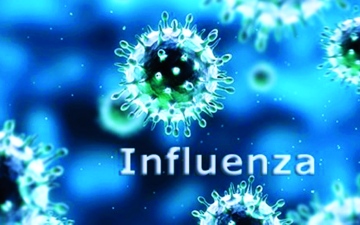 الصورة: الصورة: الإنفلونزا.. أسماء كثيرة لثلاثة أنماط فيروسية