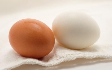 الصورة: الصورة: دراسة تكشف تأثير تناول بيضة واحدة في اليوم على صحتك