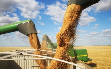 الصورة: الصورة: ارتفاع أسعار القمح الروسي مع زيادة الصادرات