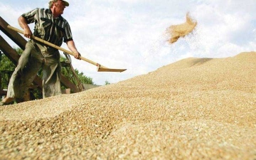 الصورة: الصورة: صادرات القمح الروسي تضاعفت إلى 1.26 مليون طن في مايو