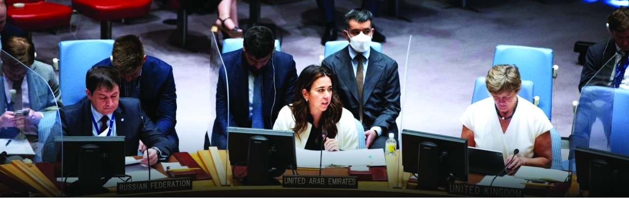 الإمارات أمام مجلس الأمن:  ملتزمون بدعم اليمن
