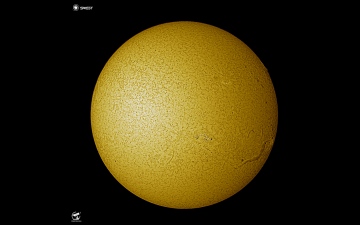 الصورة: الصورة: «مرصد الشارقة البصري» يرصد شعيرة مغناطيسية على سطح الشمس