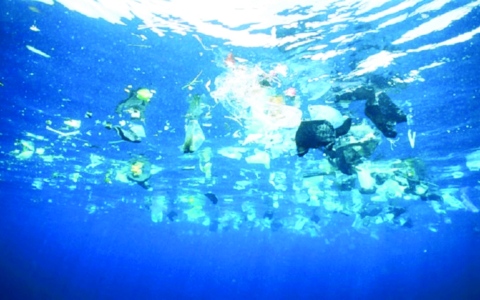 الصورة: الصورة: «أسماك روبوتية» تجمع دقائق البلاستيك بالمحيطات