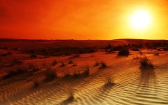 الصورة: الصورة: "الإمارات للفلك": موسم "جمرة القيظ" يبدأ 3 يوليو المقبل
