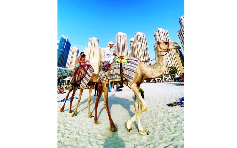 الصورة: الصورة: شواطئ دبي