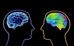 الصورة: الصورة: الخطوات متسارعة.. هل ينجح الذكاء الاصطناعي في ابتكار مخ يضاهي البشري؟