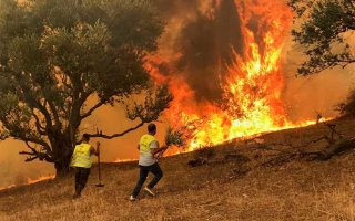 الصورة: الصورة: ارتفاع وفيات حرائق الغابات في الجزائر إلى 38 شخصاً