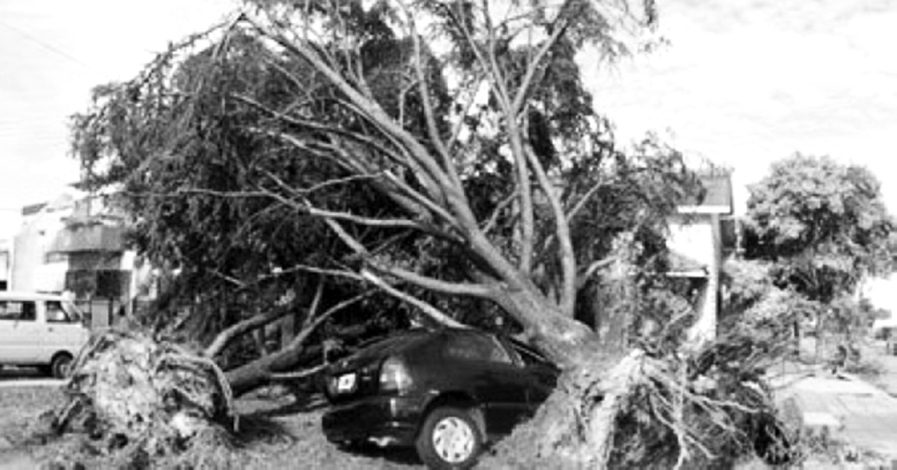 الصورة : 2015 العاصفة إريكا تخلف عشرات القتلى وخسائر فادحة بعد أن ضربت منطقة الكاريبي والدومينيكا
