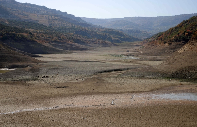 الصورة : جفاف كلي لبحيرة دويسات في ريف إدلب | أرشيفية