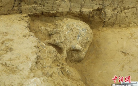 الصورة: الصورة: العثور على جمجمة بشرية تعود إلى ما قبل مليون سنة في الصين