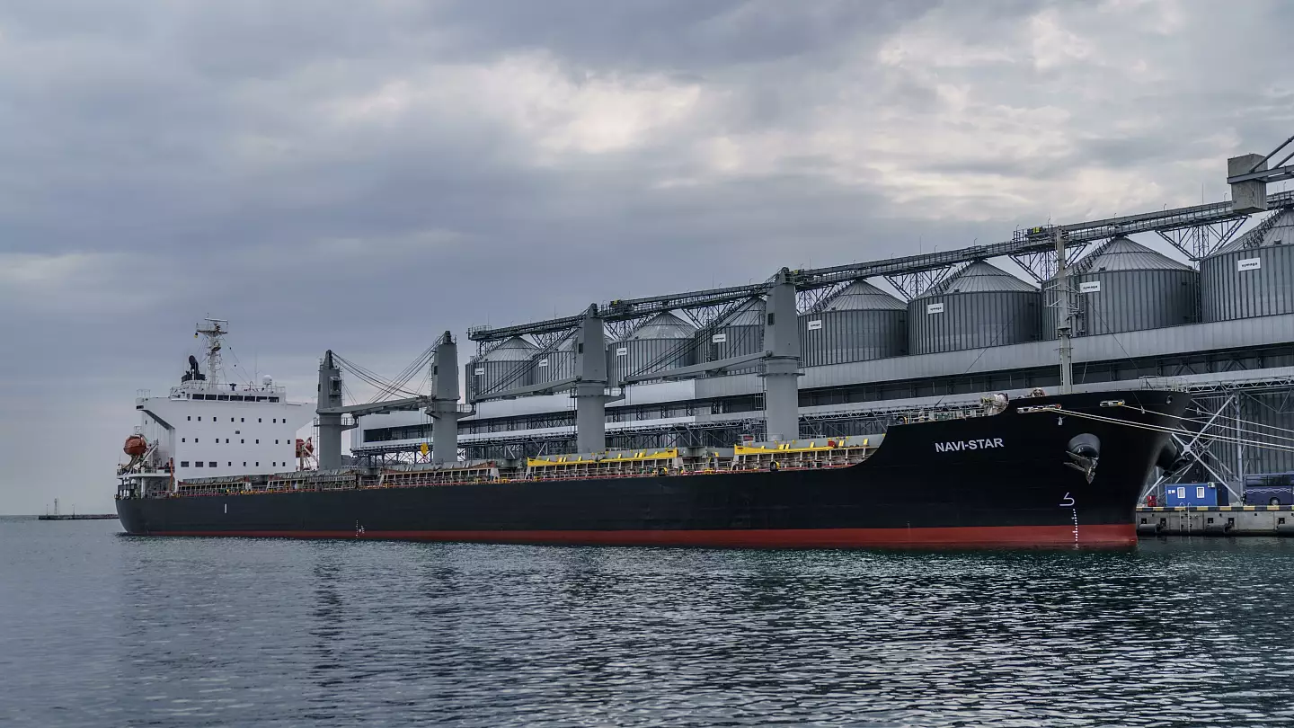 روسيا تعلّق مشاركتها في تفتيش السفن الأوكرانية المحمّلة بالحبوب في اسطنبول