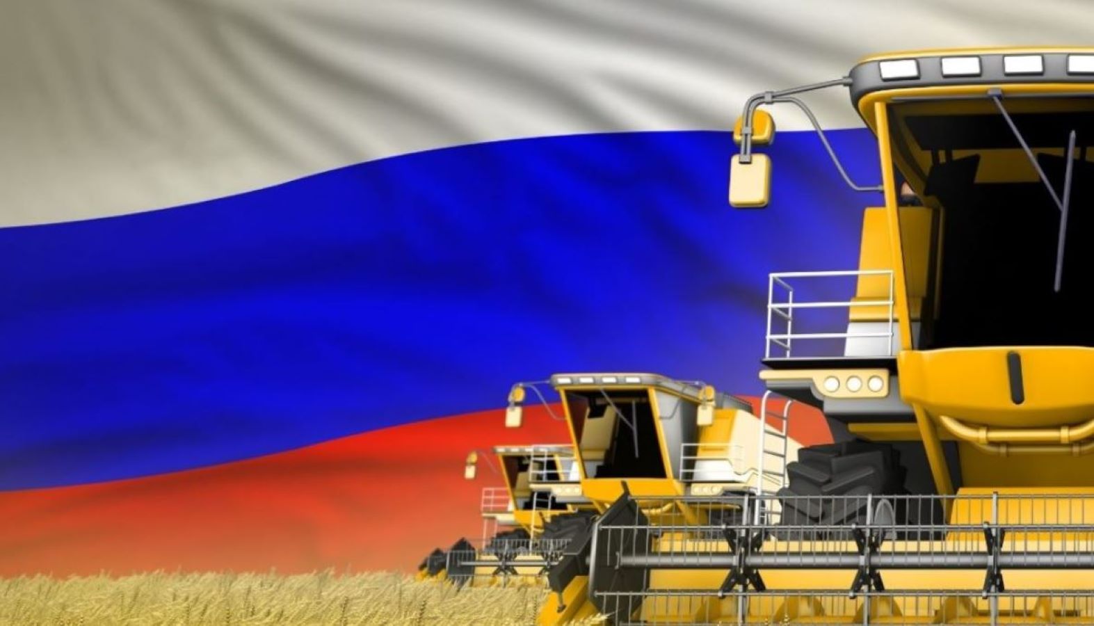 توقعات بتراجع محصول القمح الروسي عن مستوياته القياسية